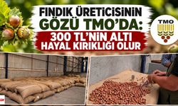 Fındık Üreticisinin Gözü TMO'da: 300 TL'nin Altı Hayal Kırıklığı Olur