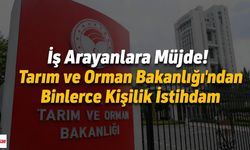 İş Arayanlara Müjde! Tarım ve Orman Bakanlığı'ndan Binlerce Kişilik İstihdam