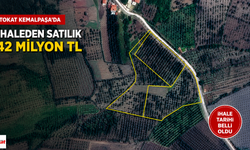Tokat'ta 42 Milyon TL'lik Meyve Bahçesi İhaleyle Satışa Çıkıyor