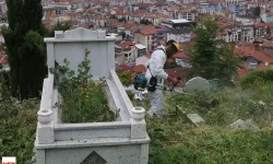 Tokat’ta Mezarlıklarda Yaz Bakımı Hız Kesmeden Sürüyor