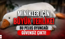 Minikler İçin Büyük Tehlike! Bu Peluş Oyuncağı Güvensiz Çıktı!
