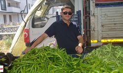 Niksar’da Güneş Gözlüğünü Taktı, Satışları Patlattı! Yarattığı İmaj İle İlgi Odağı Oldu