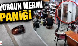 Niksar'da Yorgun Mermi Paniği: Önce Araca, Sonra İş Yerine İsabet Etti