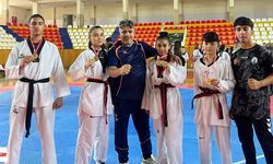 Niksar'ın Altın Çocukları Tarih Yazdı: Yücer Taekwondo'dan 4'te 4