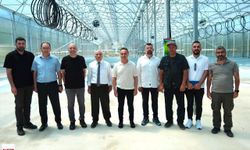 Milli Patates Çeşitleri TOGÜ'de Çoğaltılacak: Yeni Tesiste Üretim Başlıyor