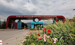 Tokat Gaziosmanpaşa Üniversitesi 50 Öğretim Üyesi Alacak: İşte Başvuru Şartları ve Detaylar
