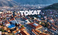 Tokat İnsan Olsaydı Nasıl Görünürdü? Yapay Zekanın Çizimi Gündem Oldu!