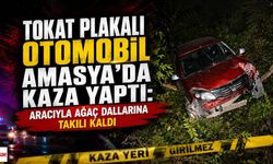 Tokat Plakalı Otomobil Amasya'da Kaza Yaptı: Aracıyla Ağaç Dallarına Takılı Kaldı