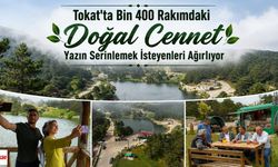 Tokat'ta Bin 400 Rakımdaki Doğal Cennet Yazın Serinlemek İsteyenleri Ağırlıyor