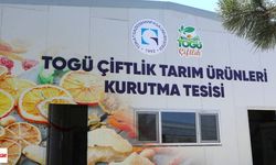 Tokat'ta Çiftçilere Önemli Çağrı: Üniversitenin Kurutma Tesisi Kapılarını Üreticiye Açıyor