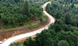 Tokat'ı Karadeniz Yaylalarına Bağlayacak Yeşil Yol'da Yeni Etap Tamamlandı