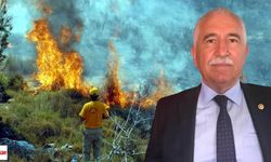 Tokatlı Vekilden Sistem Eleştirisi: Aynı Hatalar Sürüyor, Yangınlar Büyüyor