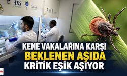 Kene Vakalarına Karşı Beklenen Aşıda Kritik Eşik Aşılıyor
