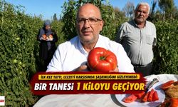 İlk kez tattı, lezzeti karşısında şaşkınlığını gizleyemedi: Bir tanesi 1 kiloyu geçiyor