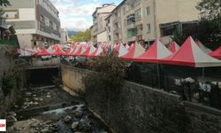 Niksar Ayvaz Su Fest Başlıyor!