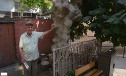 Niksar Değişti Onlar Birlikte Tanıklık Etti 90 Yıllık Bir Ömür 60 Yıllık Bir İncir İle Yaşlandı