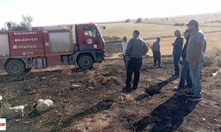 Tokat’ta Ocaklıktan Sıçrayan Kıvılcım Tarlayı Tutuşturdu