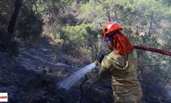 Aydın, Balıkesir ve İzmir’deki Yangınlarda Son Durumu Bakan Açıkladı