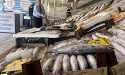 Karadeniz’den Bereket Sinyali: Palamut ve Hamsi Oltalara Vurmaya Başladı