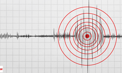 Gece Yarısı Deprem 03.00'te Meydana Geldi  Sarsıntı 5 Ülkede Hissedildi