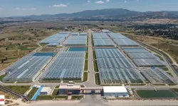 En Büyük Jeotermal Sera Geliyor 1885 Dekar 17 Modern Sera 8 Sanayi Tesisi Var 1500 Kişiye İstihdam Yıllık 3 Milyarı Var
