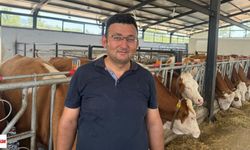 Tokatlı Besici 9 Milyon Liralık Hibe Aldı, Hayvan Sayısını 3 Katına Çıkardı