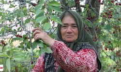 İlham veren kadın girişimciler ödüllendirilecek