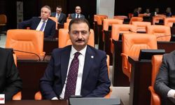 Vekil Aldemir duyurdu: Şehit ailelerine yeni gelir güvencesi