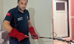Tokat'ta eve giren yılan itfaiye ekipleri tarafından yakalandı