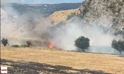 Tokat’ta Alevler Otluk Alanı Sardı:Ekipler Seferber Oldu