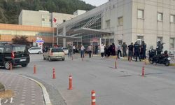Tokat'ta hayvan otlatma meselesi silahlı kavgaya dönüştü