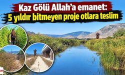 Kaz Gölü Allah’a emanet: 5 yıldır bitmeyen proje otlara teslim