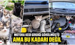 Motora Kedi Girdiği Görülmüştü Ama Bu Kadarı Değil