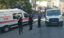 Niksar’da Çöp Kamyoneti Yayalara Çarptı