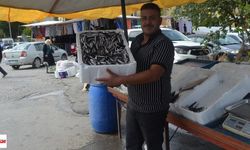 Niksar’da 200 Liralık Hamsi Akşam Olmadan Tükendi Tezgâhlar Boşaldı