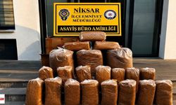 Niksar’da üç adrese operasyon: 166 kilo tütün ele geçirildi