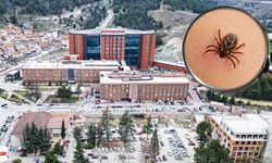 Tokat’ta kene alarmı: KKKA teşhisi konulan çocuk hastaneye kaldırıldı