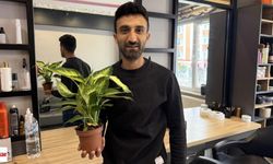 Evlerde Süs Bitkisi Olarak Bulunuyor: "Ağlayan Çiçek” Bu Kez Ağlattı