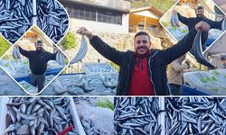 Niksar Pazartesi Pazarında Balık Tezgâhlarında Bolluk Yaşanıyor Palamuta Yoğun İlgi Var