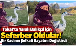 Tokat’ta Yaralı Balıkçıl İçin Seferber Oldular! Bir Kadının Şefkati Hayatını Değiştirdi