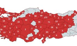 Türkiye'nin Cemevi Haritası Açıklandı: Tokat Zirvede!