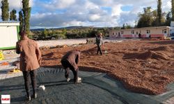 Ordulu üretici fındığını Tokat güneşinde kurutuyor