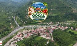 Gökal Dayanışma Hareketi Kuruluyor: “Gökalımızın geleceği için birlikte hareket edeceğiz”