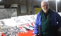 Hamsi Tezgâhta Bol Ama Kilo Fiyatı El Yakıyor! İşte Erbaa’da Güncel Balık Fiyatları