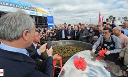 İstanbul’da Erbaa Lezzeti: 460 Bin Zeytinyağlı Sarma İkram Edildi