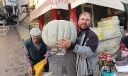 Tokat’ta Tarlasında Yetiştirdi Pazara Getirdi 57 Kiloluk Devi Görenler İnanamadı