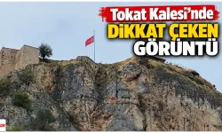 Tokat Kalesi’nde dikkat çeken görüntü