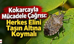 Kokarcayla Mücadele Çağrısı: Herkes Elini Taşın Altına Koymalı