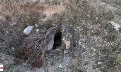Niksar’da Kaçak Define Arayan 3 Kişi Suçüstü Yakalandı