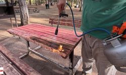 Parkın Konforunu Böyle Geri Getirdiler: Niksar'da Ayvaz Parkına Güncelleme